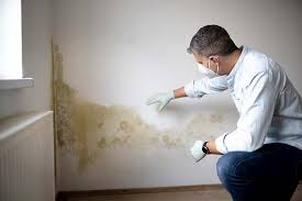 Best Mold Damage Restoration  in Oatfield, OR